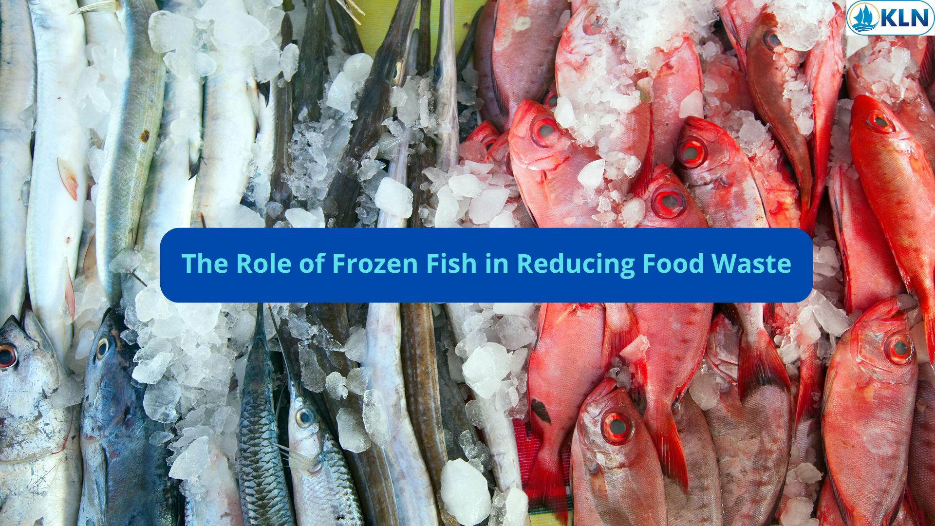 The Role of Frozen Fish in Reducing Food Waste